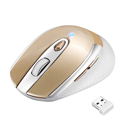 LeadsaiL Leise Kabellose Maus 2,4 GHz 1600 DPI Optical Tracking, 6 Tasten Optische Computermaus, PC Maus mit USB Nano Empfänger, Kompatibel mit PC, Mac, Laptop - Golden von LeadsaiL