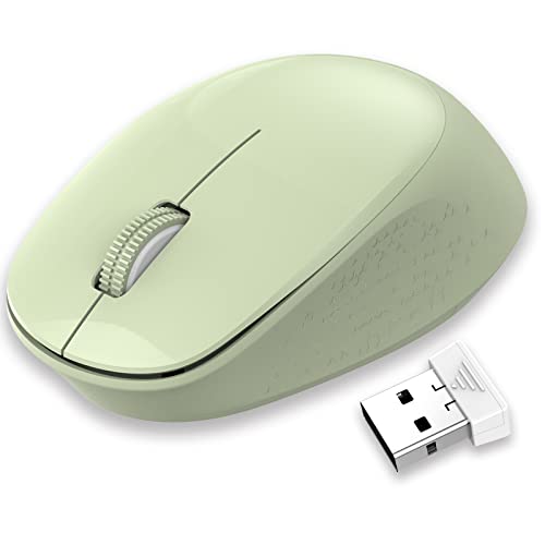 LeadsaiL Maus Kabellos, 2.4G Wireless Maus Leise mit USB Empfänger, 1600 DPI Optical Tracking, 3 Tasten Mäuse, Für Links- und Rechtshänder, Kompatibel mit PC, Mac, Laptop, Windows - Grün von LeadsaiL