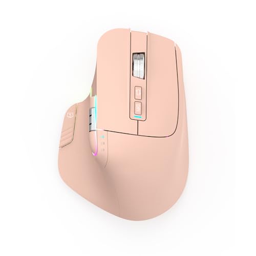 LeadsaiL Wireless Mouse, 2,4G wiederaufladbare Bluetooth5.2 Maus für Laptop, Steuerung von 4 Geräten, bis zu 3200DPI, ergonomische optische Maus für PC, Notebook von LeadsaiL