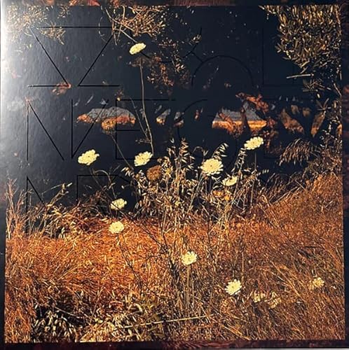 Earth Patterns (Brown Smoke) von Leaf