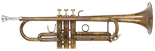 Lechgold TR-16V Bb-Trompete - aus Messing - Edelstahl-Ventile - inkl. Leichtkoffer und Mundstück - säurebehandelt und klarlackiert von Lechgold