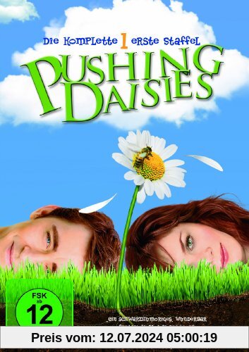 Pushing Daisies - Staffel 1 [3 DVDs] von Lee Pace