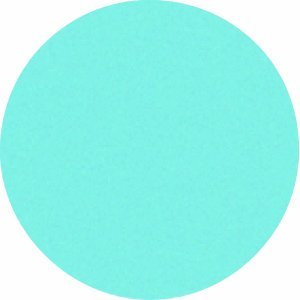 Legamaster Moderationskarten Kreise 14cm hellblau 250 von Legamaster