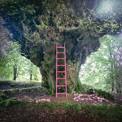 Simon Chesterfield [Vinyl LP] von LEGERE