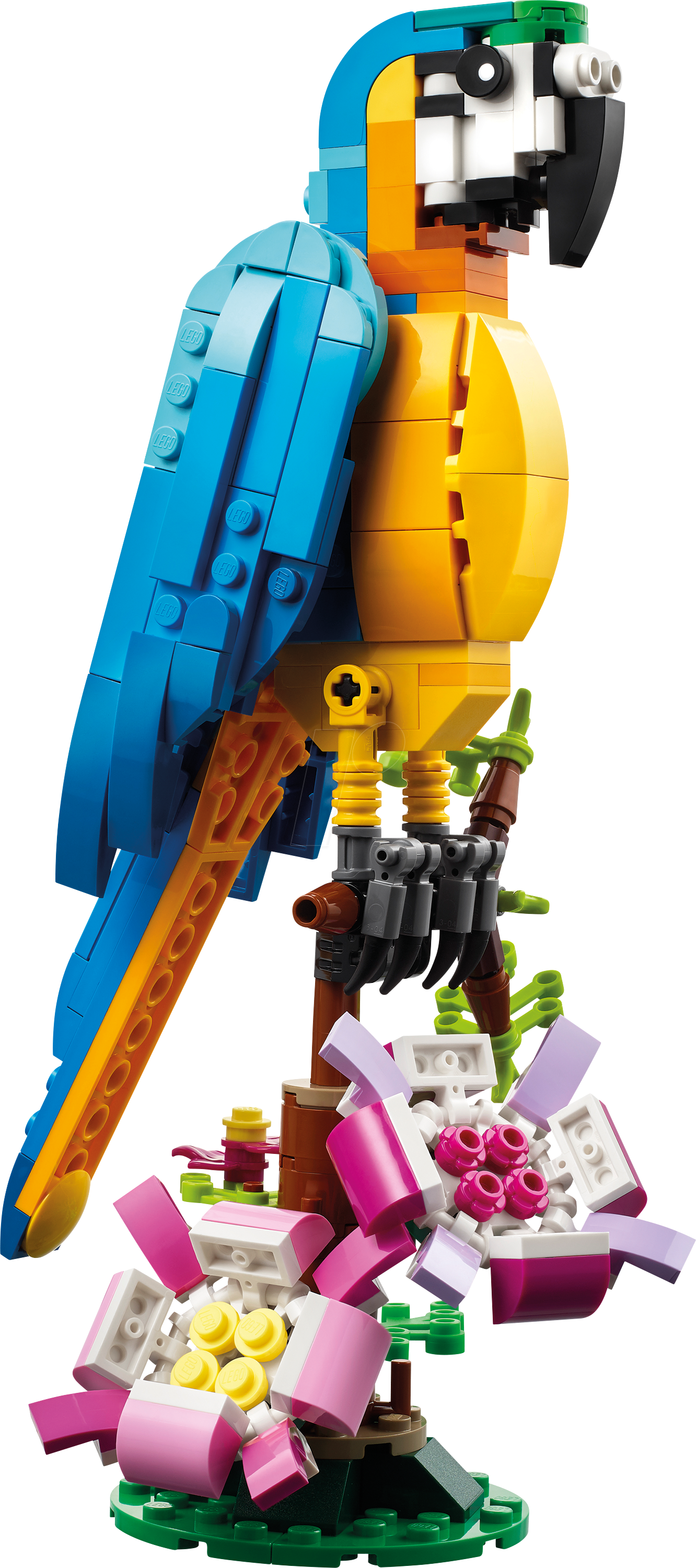 LEGO 31136 - LEGO® Creator - Exotischer Papagei von Lego