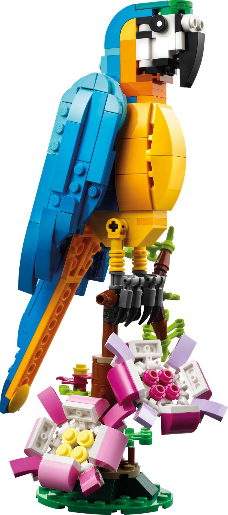 LEGO 31136 - LEGO® Creator - Exotischer Papagei von Lego