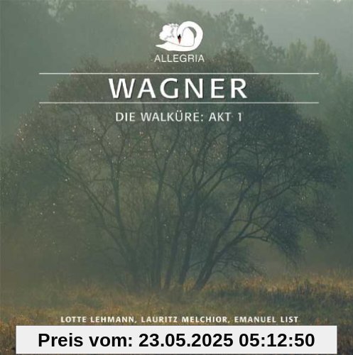 Die Walküre Akt 1 Die Walküre Akt 1 von Lehmann