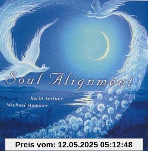 Soul Alignment von Leitner