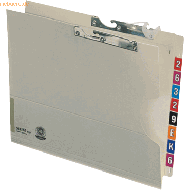 Leitz Pendelmappe Orgacolor 320g Karton 25 Stück von Leitz