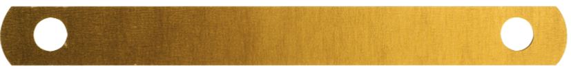 LEITZ Abdeckschienen, für DIN A4 Format, gold lackiert von Leitz