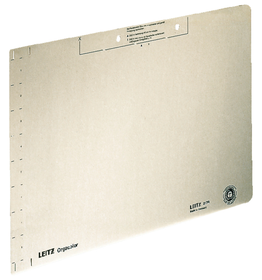 LEITZ Einlegeblatt, (B)323 x (H)224 mm, chamois von Leitz