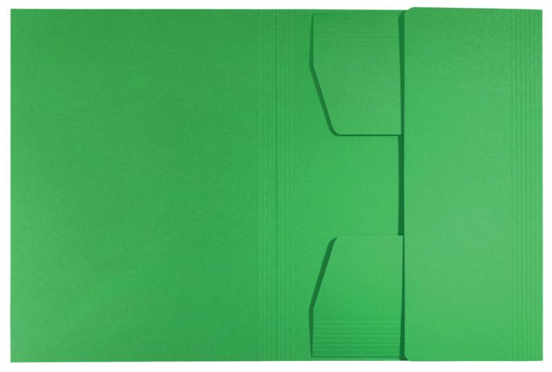 LEITZ Jurismappe Recycle, DIN A4, Karton 430 g/qm, grün von Leitz