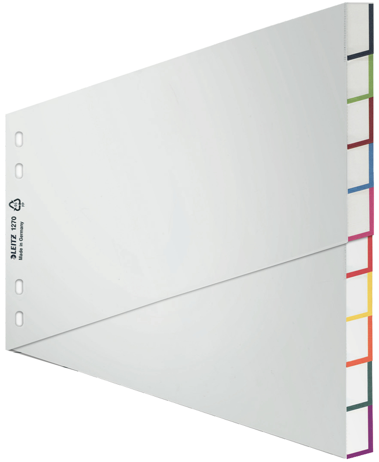 LEITZ Kunststoff-Register, blanko, A4 Überbreite, 15-teilig von Leitz