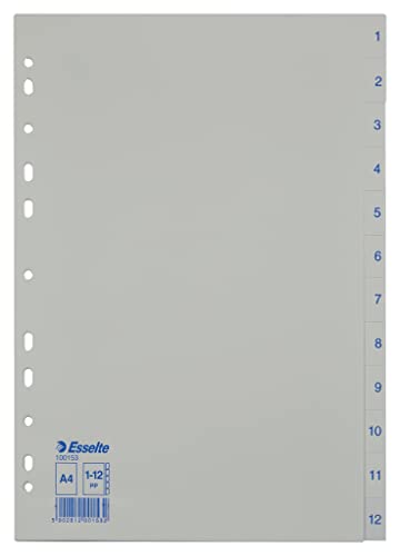 Leitz Esselte Register für A4, 12 Trennblätter, Taben mit Zahlenaufdruck 1-12, Blau/weiß, Robuster Kunststoff, 100153 von Leitz