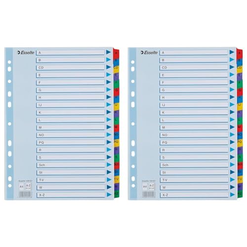 Leitz Esselte Register für A4, Deckblatt und 20 Trennblätter, Taben mit alphabetischem Aufdruck A-Z, Lochrand und Taben folienverstärkt (Mylar), Blau, Karton, 100167 (Packung mit 2) von Leitz