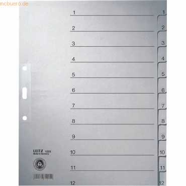 Leitz Register A4 1-12 100g/qm grau von Leitz