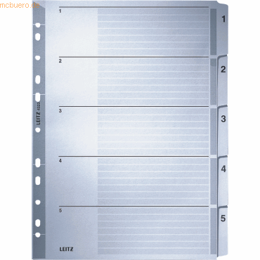 Leitz Register A4 1-5 160g/qm Karton grau Leitz Register A4 1-5 160g/qm Karton grau von Leitz