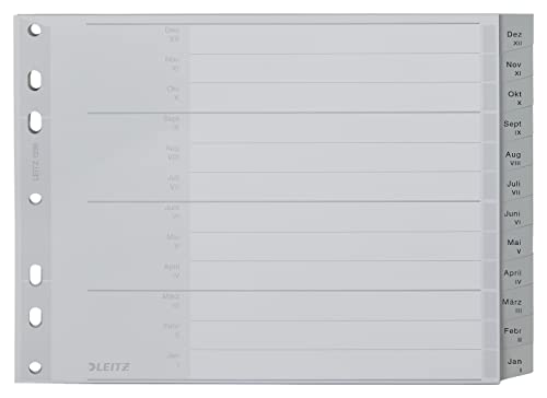 Leitz Register für A4, Deckblatt aus Karton und 20 Trennblätter aus Kunststoff, Taben mit Monatsdruck Dez-Jan, Halbe Höhe und Überbreite, Grau, 12880085 von Leitz