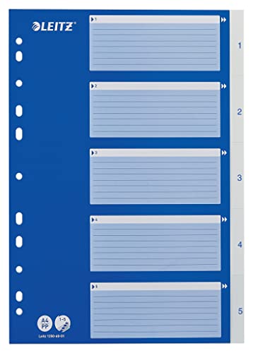 Leitz Register für A4, Deckblatt aus Karton und Trennblätter aus Kunststoff, Taben mit Monatsdruck Jan-Dez, Blau/Weiß, 12546001 von Leitz