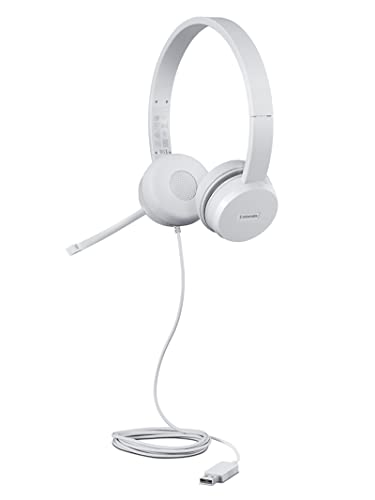 Lenovo 110 Analoge Stereo-Kopfhörer (Geräuschisolierung, drehbares Mikrofon, Leder und Schaumstoff-Ohrenschläfer), Work-Zertifizierung mit Google Chromebook, Wolkengrau von Lenovo