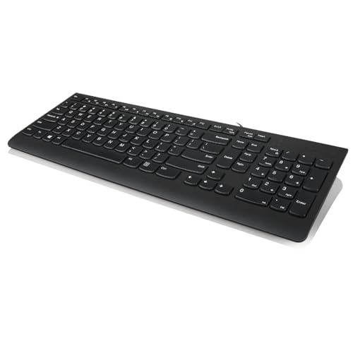 Lenovo 300 USB-Tastatur, kabelgebunden, neigbar, ergonomisch, Windows 7/8/10, GX30M39655, schwarz von Lenovo