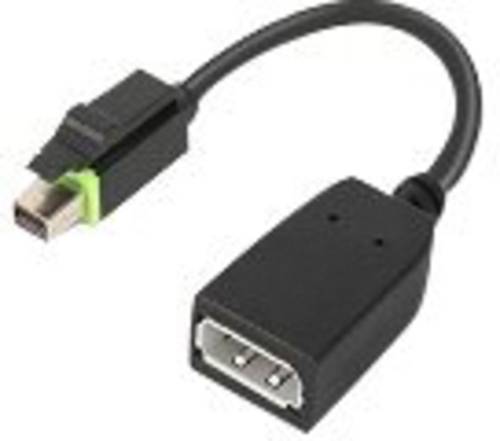 Lenovo 4X90Q93975 Mini-DisplayPort Adapter [1x - 1x DisplayPort] Schwarz von Lenovo