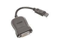 Lenovo DisplayPort zu Single-Link-DVI-D Adapter von Lenovo