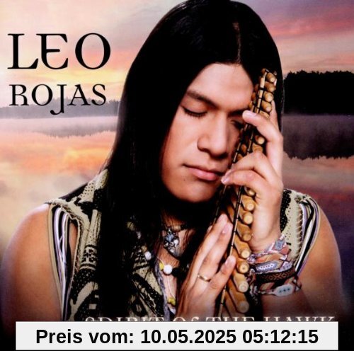 Spirit of the Hawk von Leo Rojas