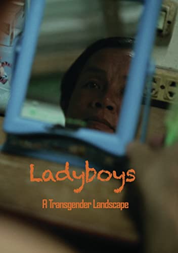 Ladyboys: A Transgender Landscape [DVD] von Leomark Studios