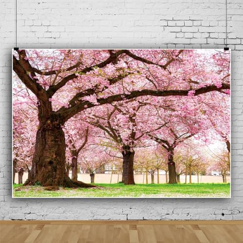 Leowefowa Hintergrund mit Frühlingsblumenbaum, 3 x 2,4 m, Vinyl, Rasen, Rosa, Kirsche, Straße, Fotografie, Hintergrund, Außenansicht, Hochzeit, Geburtstag, Party, Dekoration, Fotoautomaten-Hintergrund Leowefowa Hintergrund mit Frühlingsblumenbaum, 3 x 2,4 m, Vinyl, Rasen, Rosa, Kirsche, Straße, Fotografie, Hintergrund, Außenansicht, Hochzeit, Geburtstag, Party, Dekoration, Fotoautomaten-Hintergrund von Leowefowa