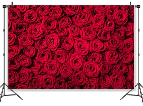 Leowefowa Rote Rosen-Hintergründe für Fotoshootings, 3 x 2,4 m, Vinyl-Blumen, Rose, Wand-Fotografie-Hintergrund für Mädchen, Geburtstag, Party, Banner, Babyparty, Hochzeit, Dekoration Leowefowa Rote Rosen-Hintergründe für Fotoshootings, 3 x 2,4 m, Vinyl-Blumen, Rose, Wand-Fotografie-Hintergrund für Mädchen, Geburtstag, Party, Banner, Babyparty, Hochzeit, Dekoration von Leowefowa