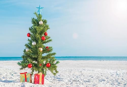 Leowefowa Weihnachts-Fotohintergründe, 3 x 2,4 m, Vinyl, Party-Dekorationen, tropischer hawaiianischer Sommer-Hintergrund für Fotografie, Strand, Weihnachtsbaum, Banner, Geschenk für Urlaub, Familie Leowefowa Weihnachts-Fotohintergründe, 3 x 2,4 m, Vinyl, Party-Dekorationen, tropischer hawaiianischer Sommer-Hintergrund für Fotografie, Strand, Weihnachtsbaum, Banner, Geschenk für Urlaub, Familie von Leowefowa
