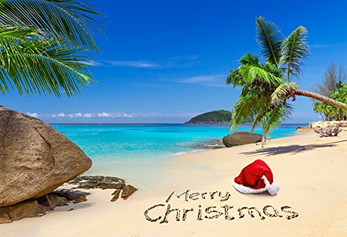 Leowefowa Weihnachtsfeier-Dekorationen, Banner für Juli, 3 x 2,4 m, Vinyl, Weihnachtsmannmütze, tropischer Strand, Palmen, Foto-Hintergründe, blaues Meer, Himmel, Landschaft, Hintergrund für Leowefowa Weihnachtsfeier-Dekorationen, Banner für Juli, 3 x 2,4 m, Vinyl, Weihnachtsmannmütze, tropischer Strand, Palmen, Foto-Hintergründe, blaues Meer, Himmel, Landschaft, Hintergrund für von Leowefowa