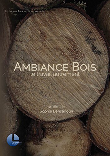 Ambiance Bois, le travail autrement [Francia] [DVD] [DVD] Sophie Bensadoun von Les Films du Paradoxe