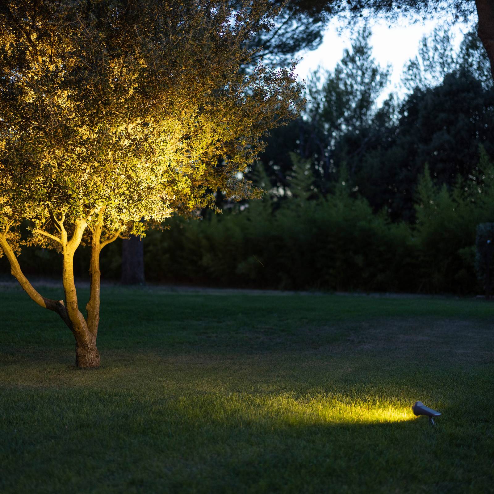 LED-Solar-Strahler Spot Tageslichtsensor, dimmbar von Les Jardins