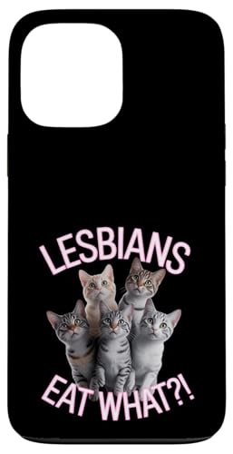 Subtle Lesbian Pride Cat Lesben Eat What Hülle für iPhone 13 Pro Max Subtle Lesbian Pride Cat Lesben Eat What Hülle für iPhone 13 Pro Max von Lesbian Merch & Lesbian Stuff