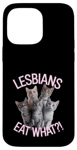 Subtle Lesbian Pride Cat Lesben Eat What Hülle für iPhone 14 Pro Max Subtle Lesbian Pride Cat Lesben Eat What Hülle für iPhone 14 Pro Max von Lesbian Merch & Lesbian Stuff