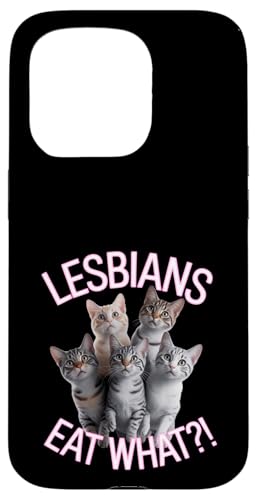Subtle Lesbian Pride Cat Lesben Eat What Hülle für iPhone 15 Pro Subtle Lesbian Pride Cat Lesben Eat What Hülle für iPhone 15 Pro von Lesbian Merch & Lesbian Stuff