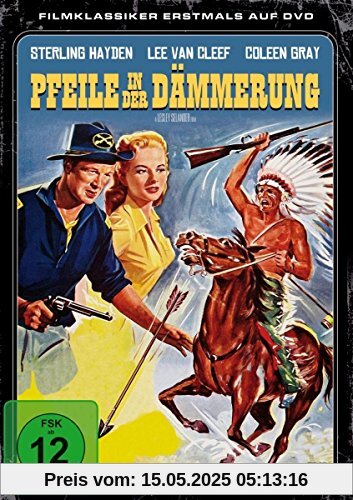 Pfeile in der Dämmerung Pfeile in der Dämmerung von Lesley Selander