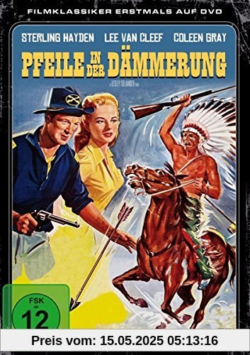 Pfeile in der Dämmerung von Lesley Selander