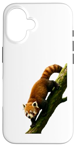 Tree Descent Red Panda Jungle Motion Ästhetisches Design Hülle für iPhone 16 von LetterTrunk
