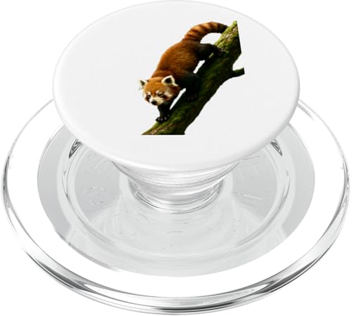 Tree Descent Red Panda Jungle Motion Ästhetisches Design PopSockets PopGrip für MagSafe Tree Descent Red Panda Jungle Motion Ästhetisches Design PopSockets PopGrip für MagSafe von LetterTrunk