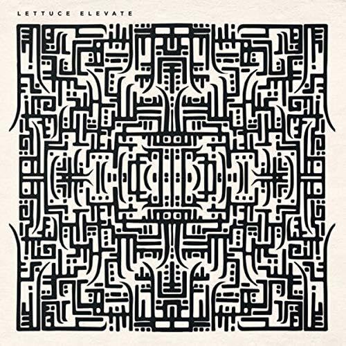 Elevate [Vinyl LP] von Lettuce Records