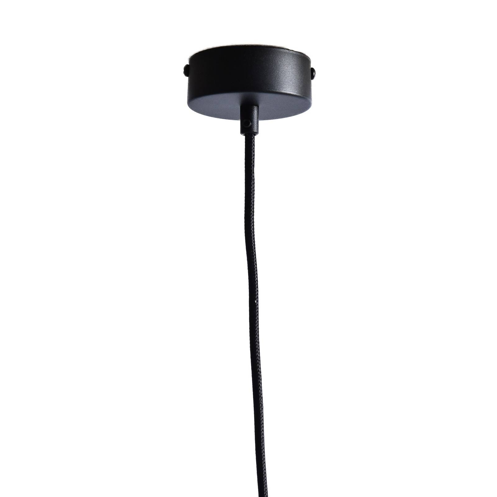 LeuchtNatur Nux Hängelampe Heu/Kornblume, schwarz LeuchtNatur Nux Hängelampe Heu/Kornblume, schwarz von LeuchtNatur