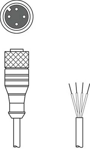 Leuze Electronic 50037784 Anschlussleitung 1St. von Leuze Electronic