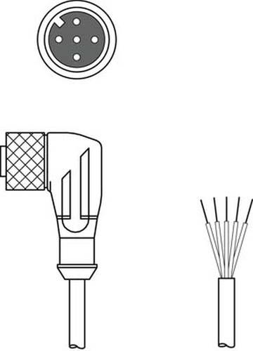 Leuze Electronic 50104577 Anschlussleitung 1St. von Leuze Electronic