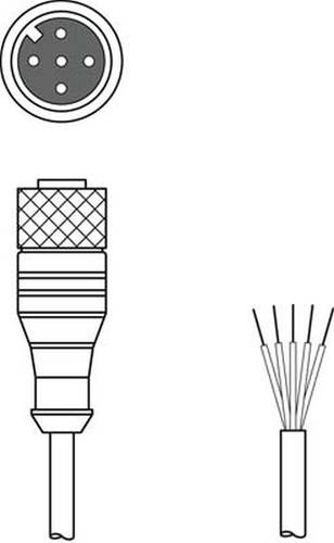 Leuze Electronic 50114696 Anschlussleitung 1St. von Leuze Electronic