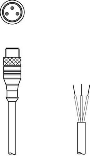 Leuze Electronic 50130829 Anschlussleitung 1St. von Leuze Electronic