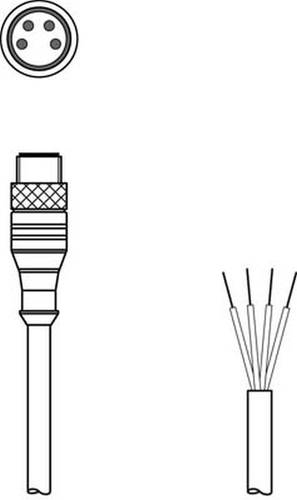 Leuze Electronic 50130834 Anschlussleitung 1St. von Leuze Electronic