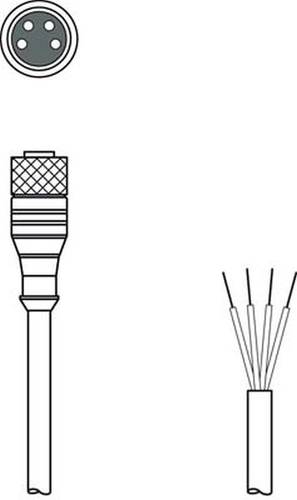 Leuze Electronic 50130851 Anschlussleitung 1St. von Leuze Electronic